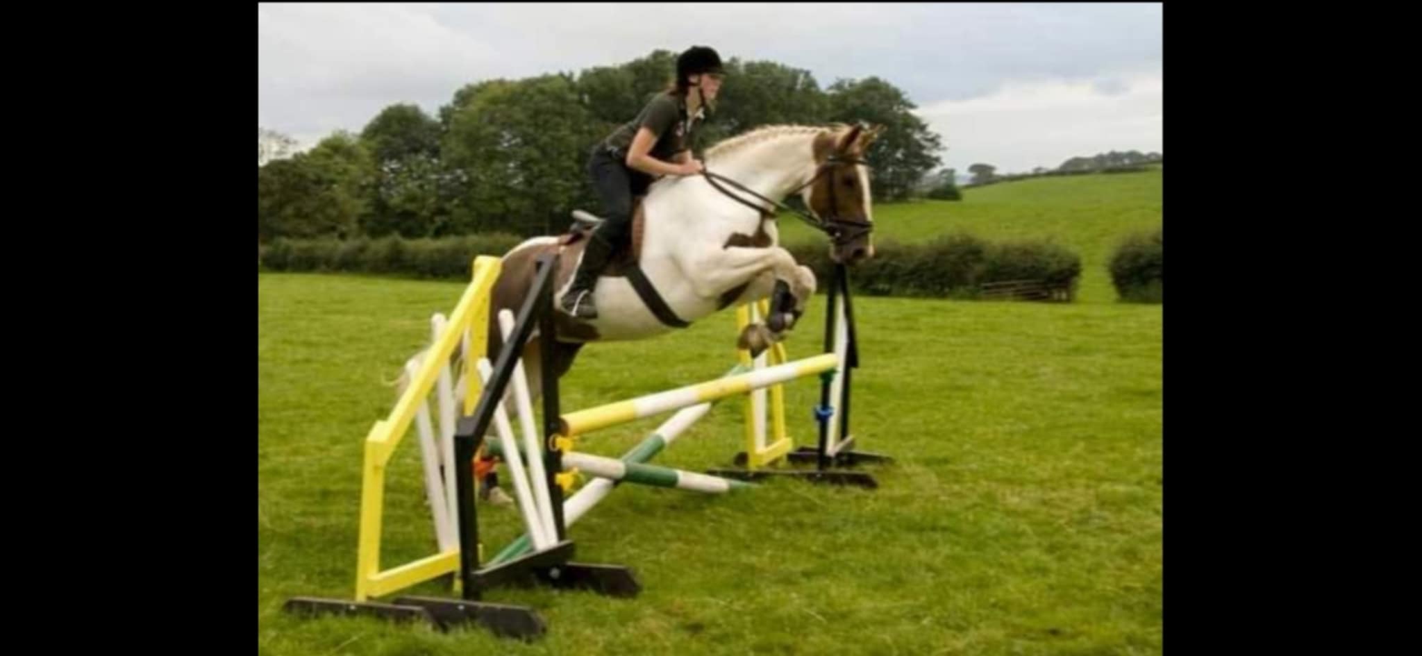 Equine service example 5