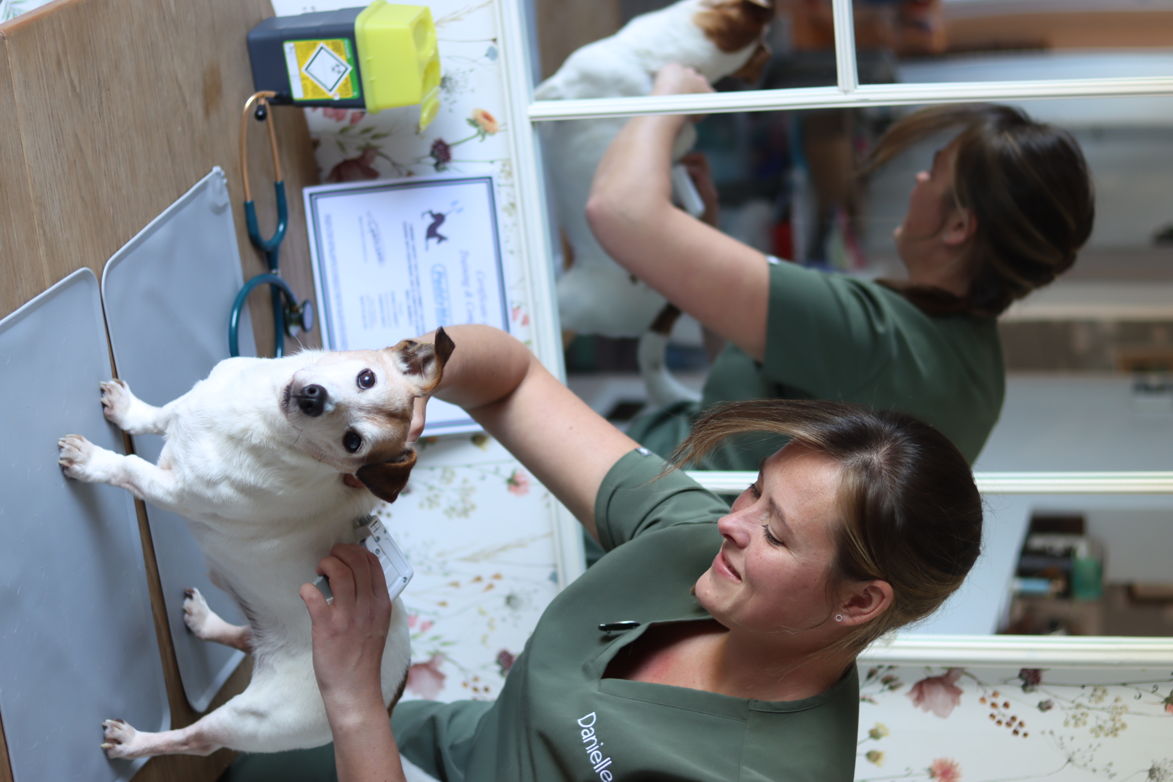 Microchipping example 2